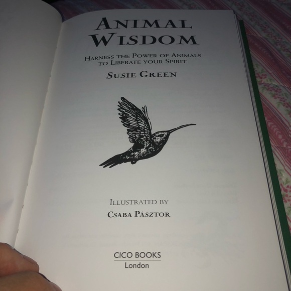 Animal Wisdom Book by Susie Green - Picture 5 of 9